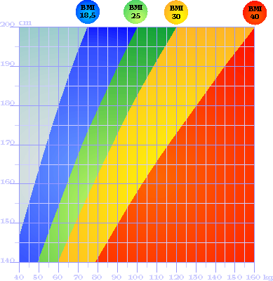  BMI